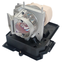 ACER EC.J8700.001 Lampa s modulem