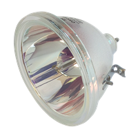 CANON LV-LP02 (2012A001AA) Lampa bez modulu