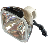 INFOCUS C450 Lampa bez modulu