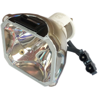 INFOCUS SP-LAMP-016 Lampa bez modulu