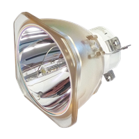 Lampa pro projektor NEC NP-PA571W-13ZL, originální lampa bez modulu