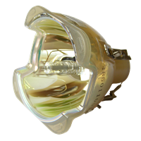 OPTOMA BL-FU250B (SP.86501.001) Lampa bez modulu