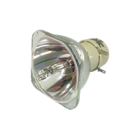 OPTOMA BL-FU260C (SP.72Y01GC01) Lampa bez modulu