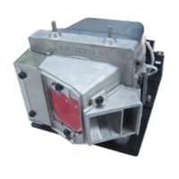 OPTOMA VDHDSS Lampa s modulem