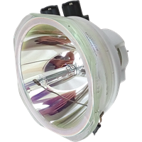 PANASONIC PT-DW830ELK (portrait) Lampa bez modulu