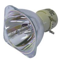 Lampa PHILIPS-UHP PHILIPS-UHP 200/150W 1.0 E20.6 - originální výbojka