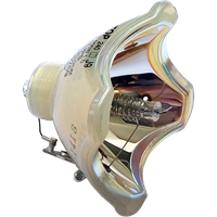 Lampa PHILIPS-UHP PHILIPS-UHP 200/150W 1.0 P19.5 - originální výbojka