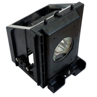 SAMSUNG HL-R6167WX/XAA Lampa s modulem