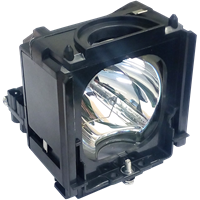 SAMSUNG PT-50DL24 Lampa s modulem