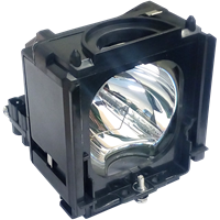 Lampa pro TV SAMSUNG PT-61DL34X/SMS, generická lampa s modulem