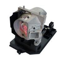 TRIUMPH BOARD PJ250-W Lampa s modulem